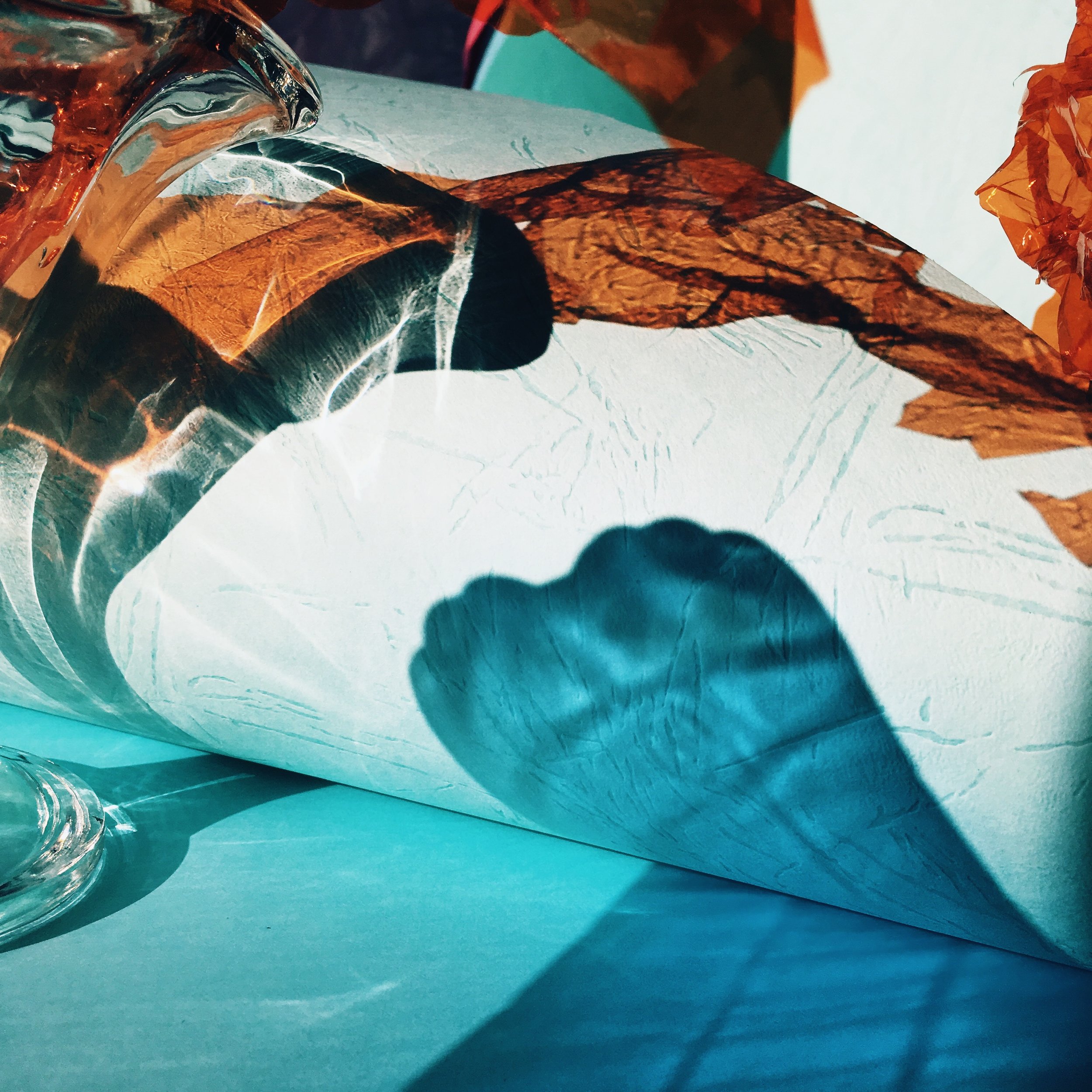 D52194BE-727F-40DB-839B-6C3C37B234B5 2.JPG