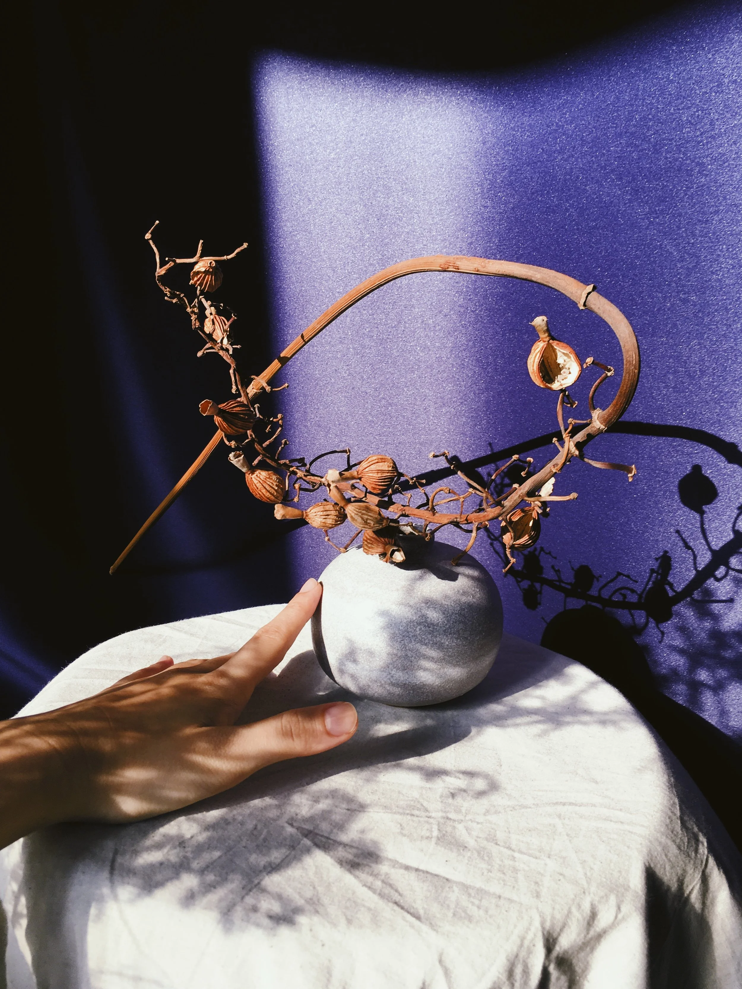 4F155B2C-9BB5-49AB-8857-D080169B5A20 2.JPG