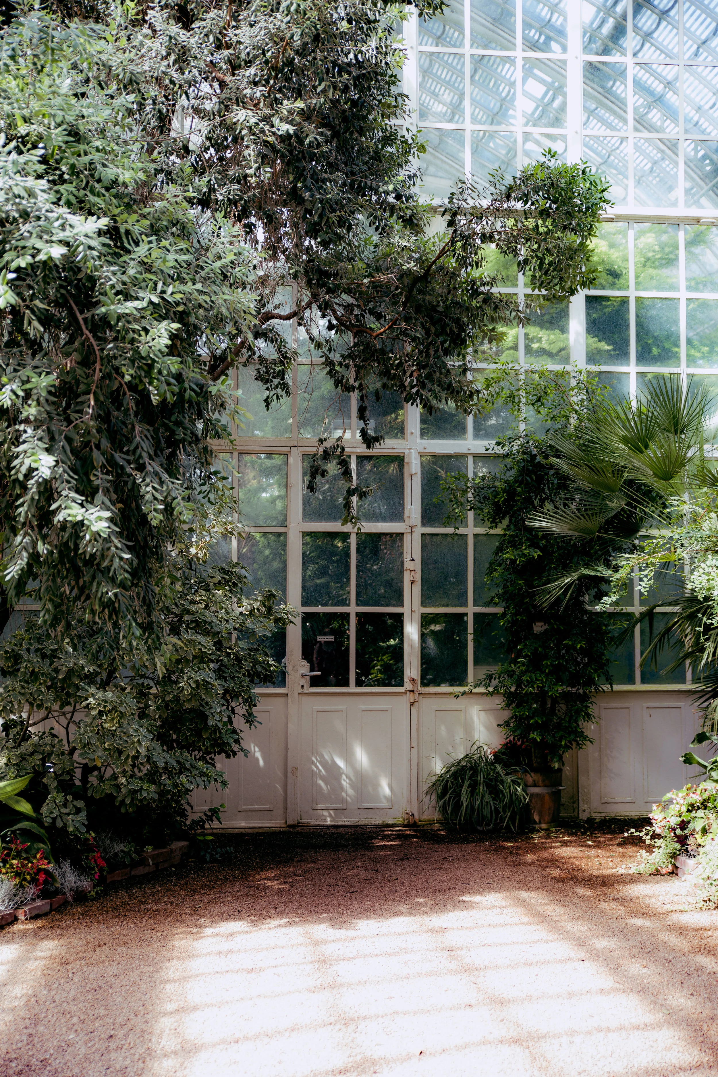 yyl-AudreyTAprewed-8702.jpg