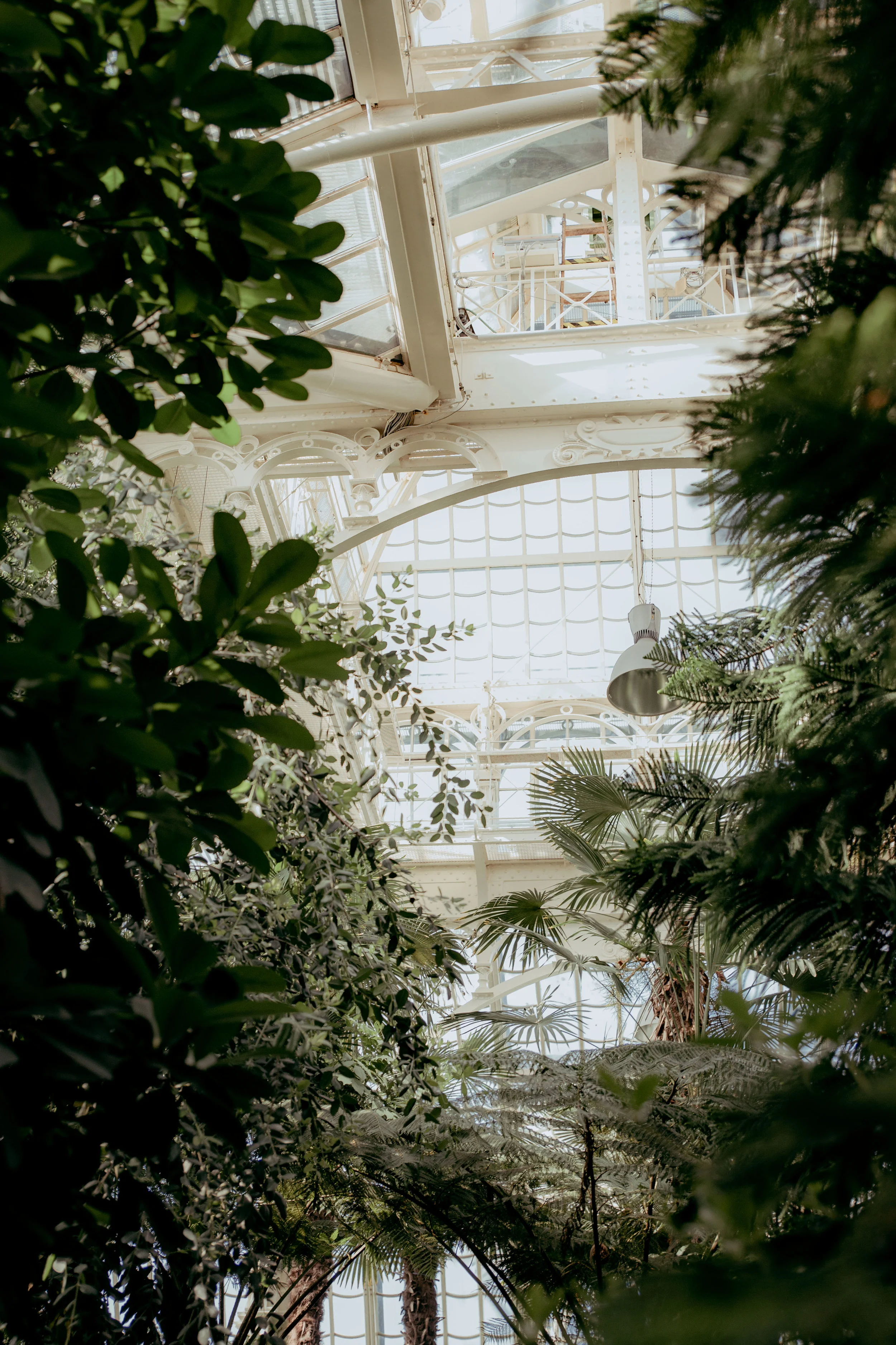 yyl-AudreyTAprewed-9195.jpg