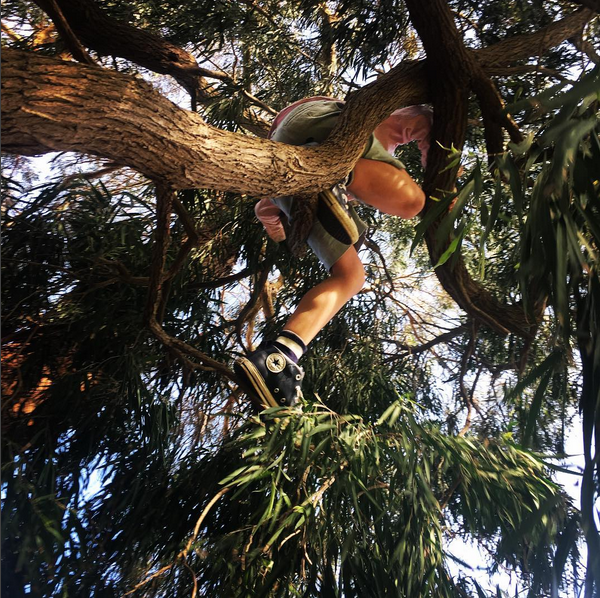 Peanut Monkey.png