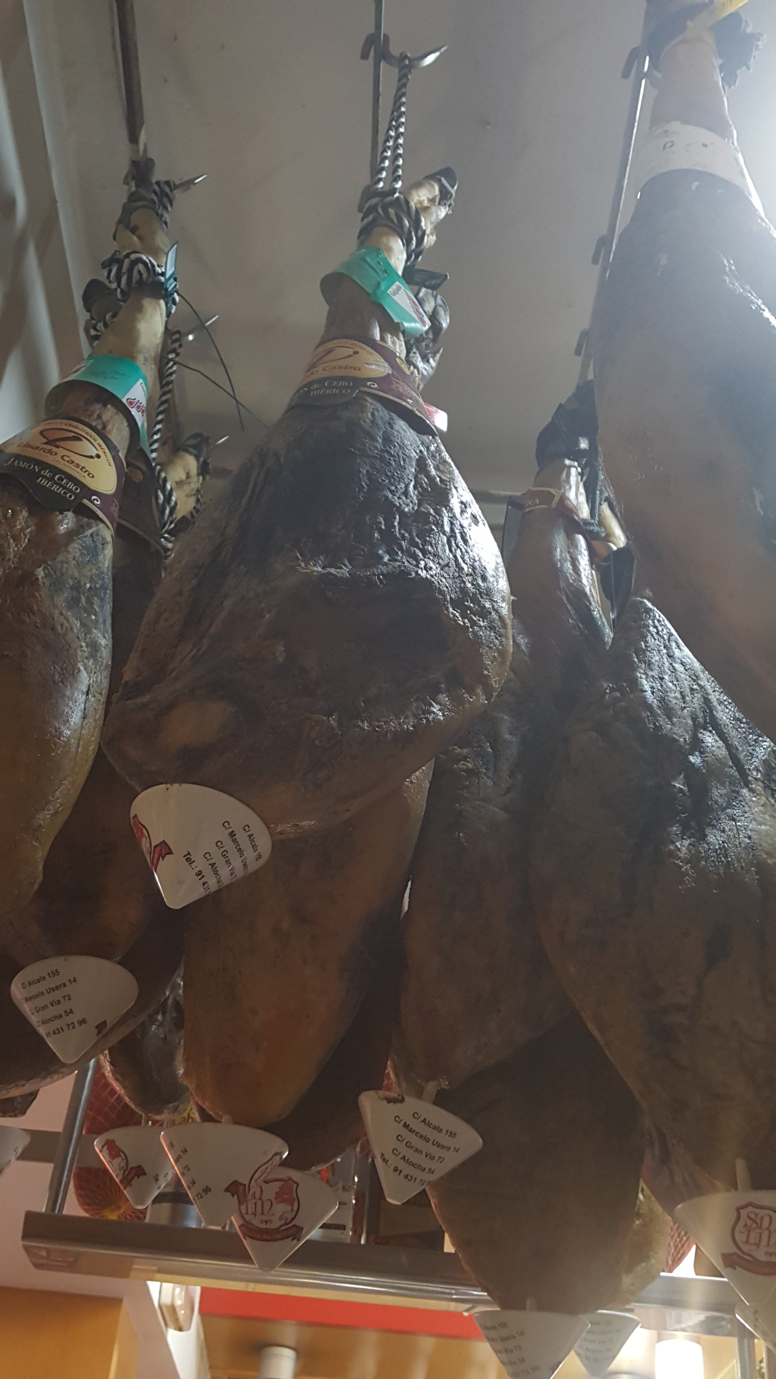 Iberico just hangs from the ceilings at the Museo del Jamon. : MADRID .