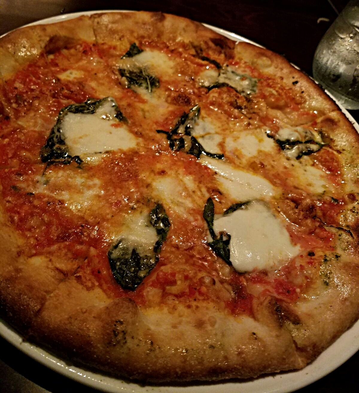MARGHERITA. fiore di latte mozarella. basil. san marzano. : UNDER THE CORK TREE.