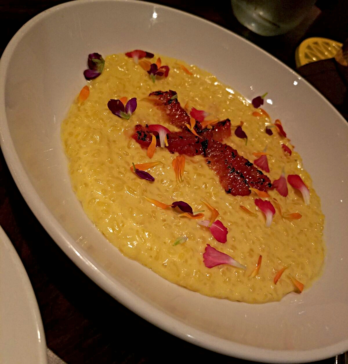 RICE PUDDING. blood orange. : UNDER THE CORK TREE.