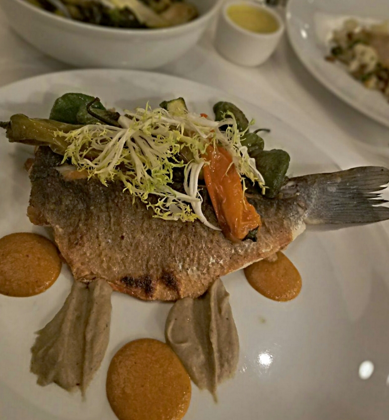 PAN ROASTED BRANZINO. smoked eggplant. shishito peppers. baby squash harissa spiced cranberry beans.: NOBLE FIN .