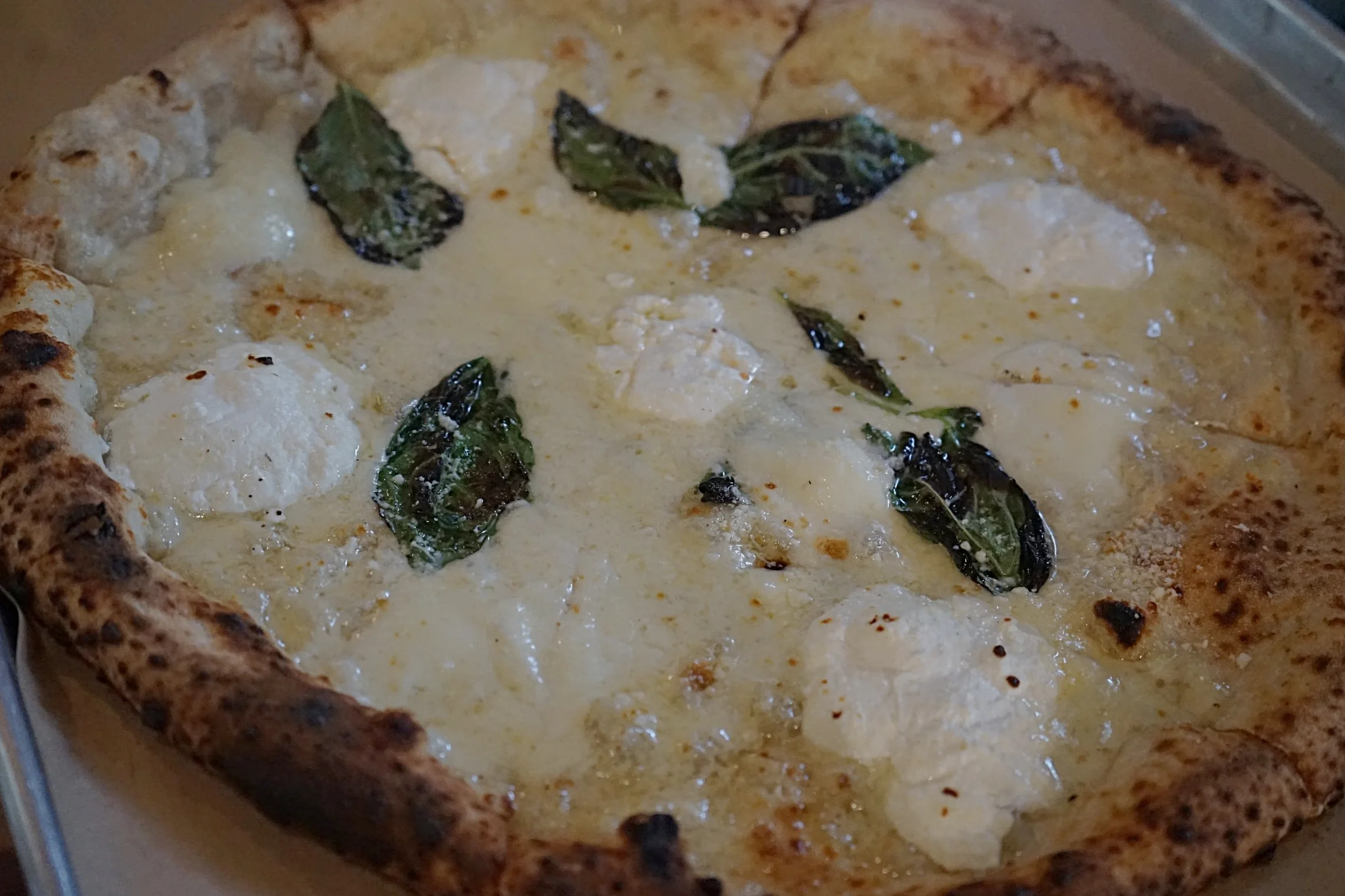 BIANCA. ricotta. bufala mozzarella. pecorino.