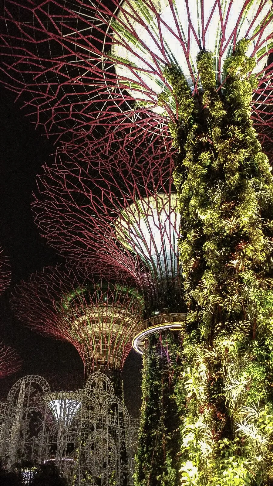 Supertree Grove. Singapore.