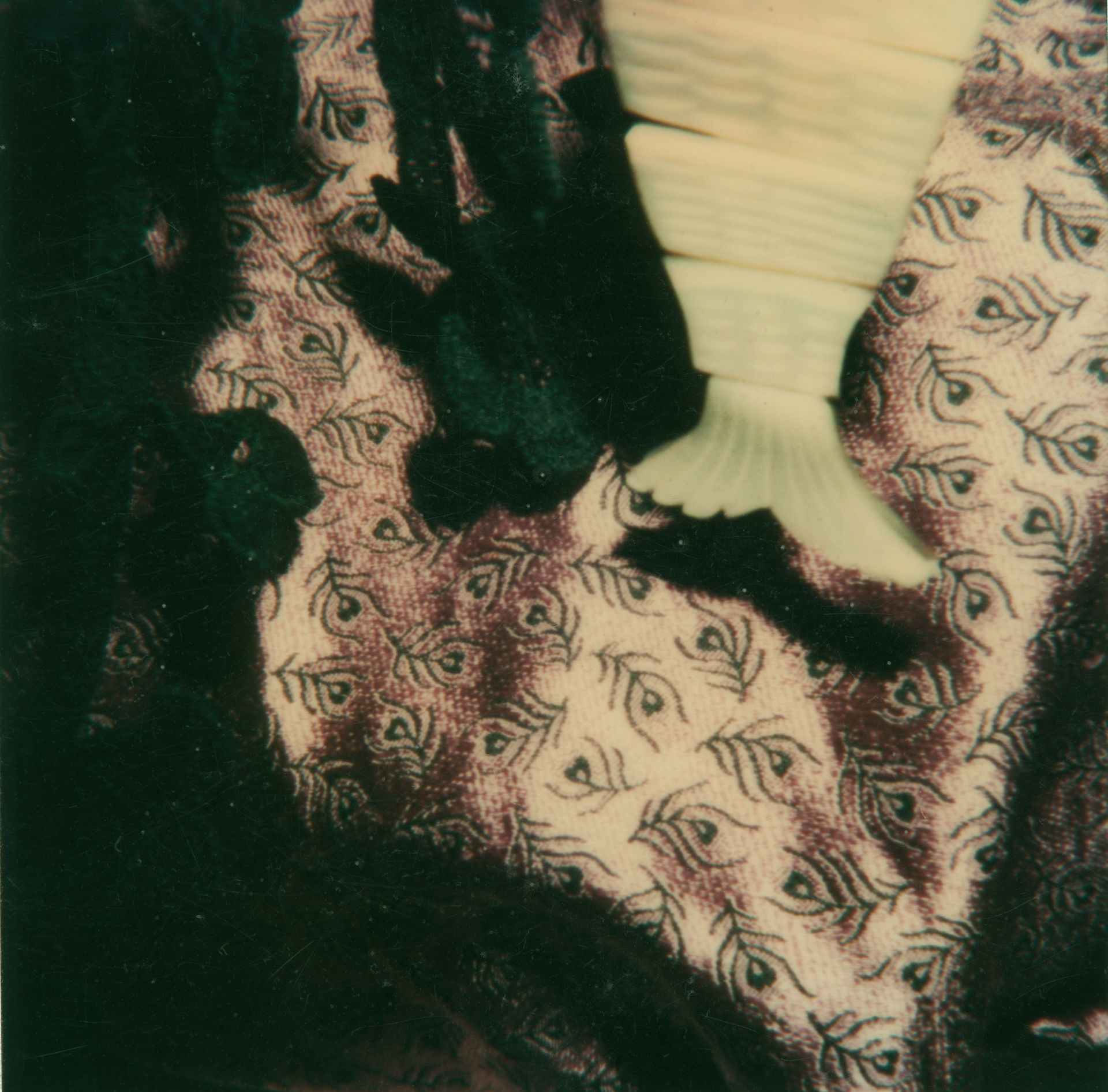 Polaroid 3, 1981-83