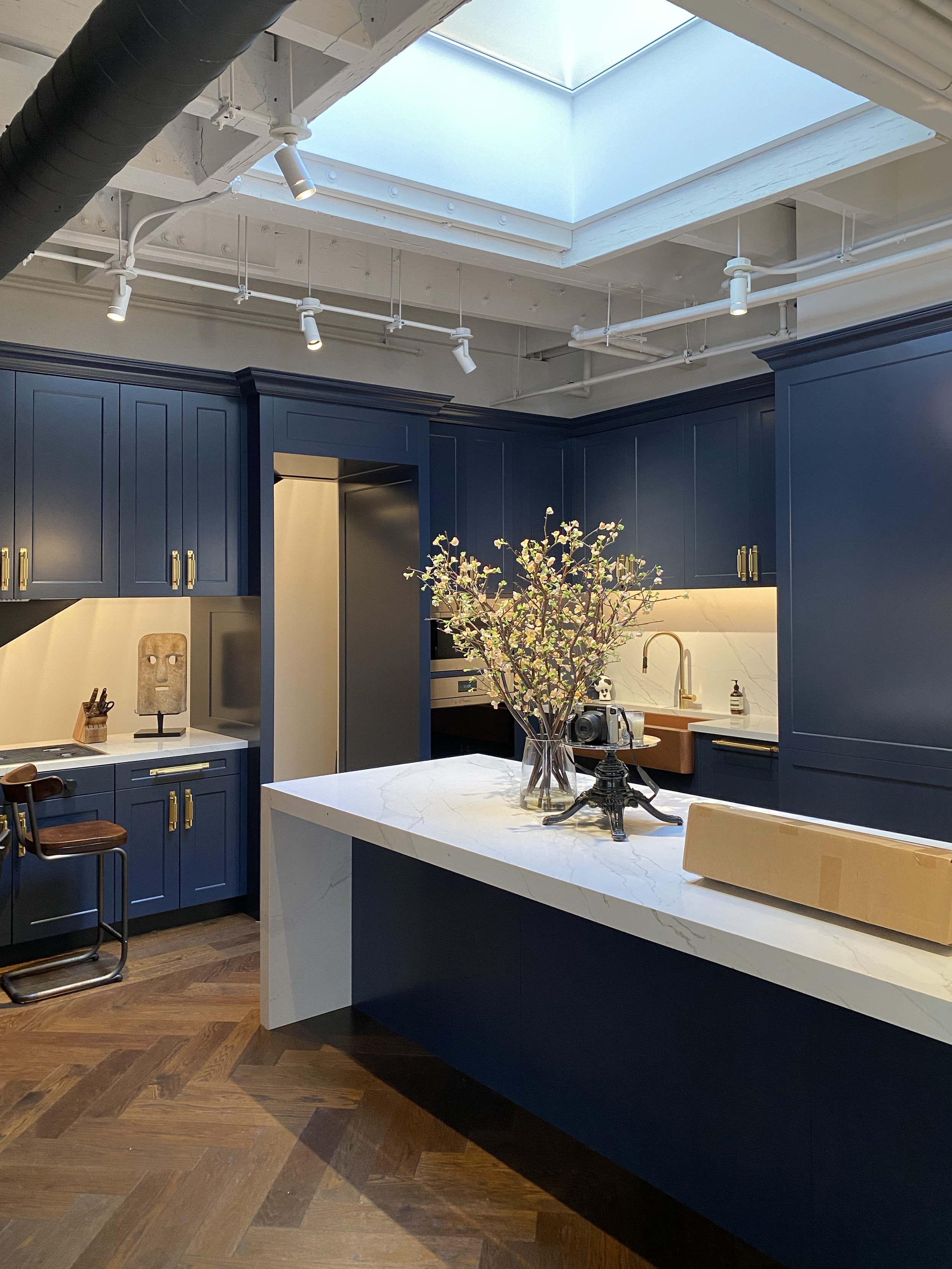 Kitchen Skylight 01.png