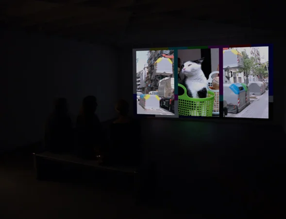 Use and Posession Sreening for web 2 .jpg