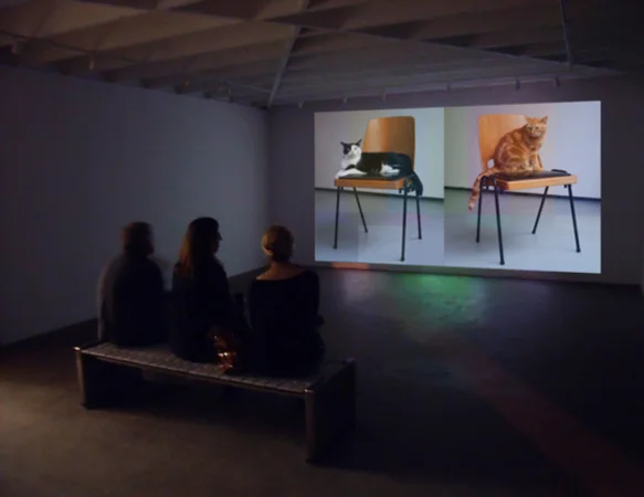 Use and Posession Sreening for web 4 .jpg