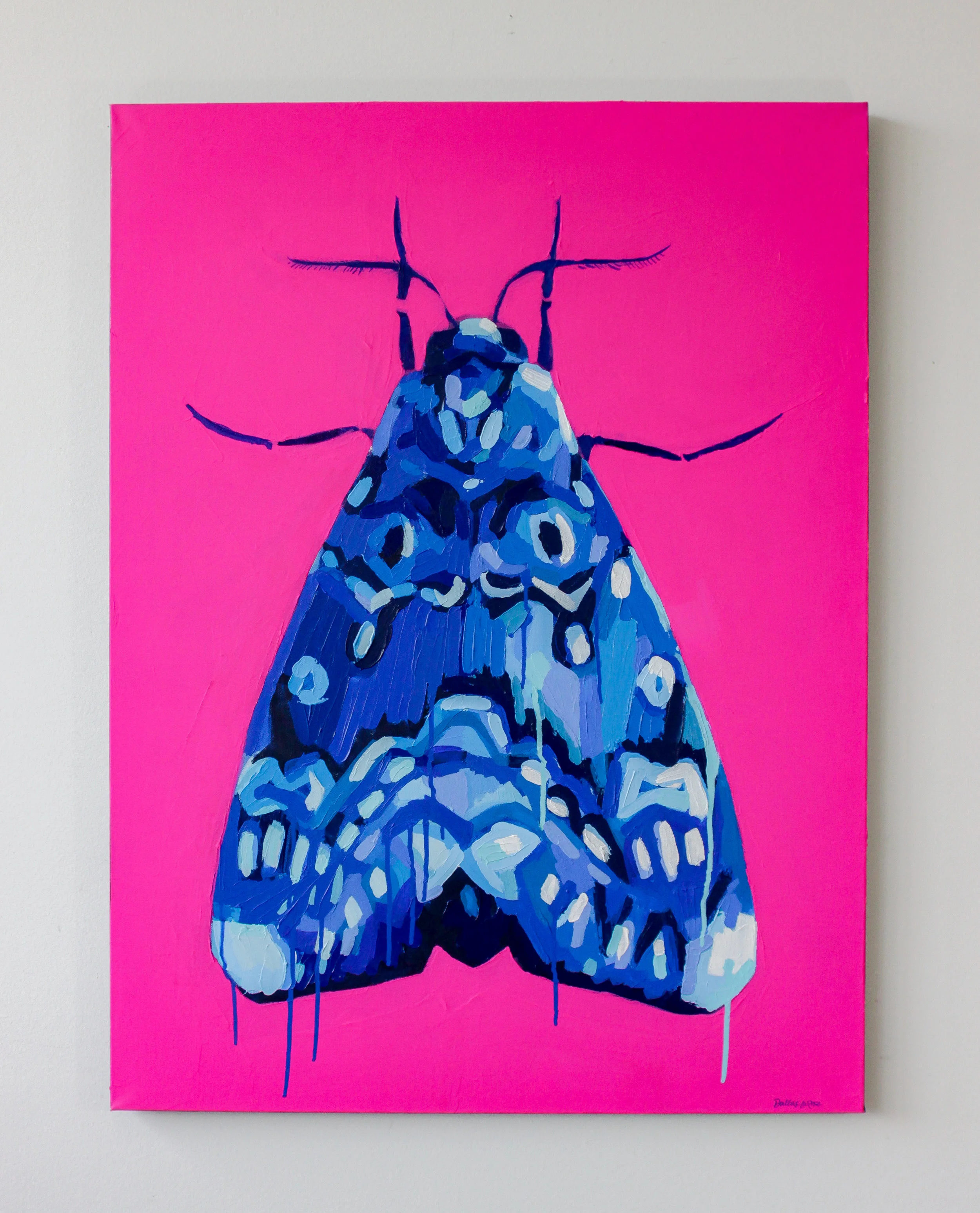 LILY MOTH