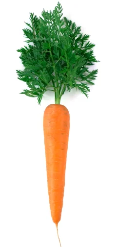 Beta Carotene