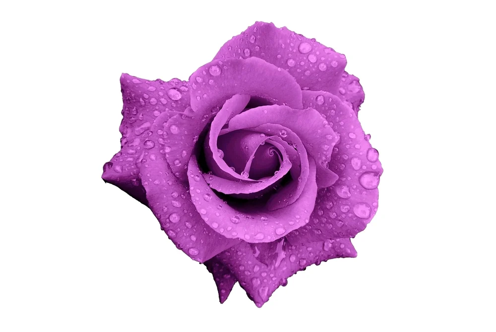 9 SPRING BEAUTY TIPS