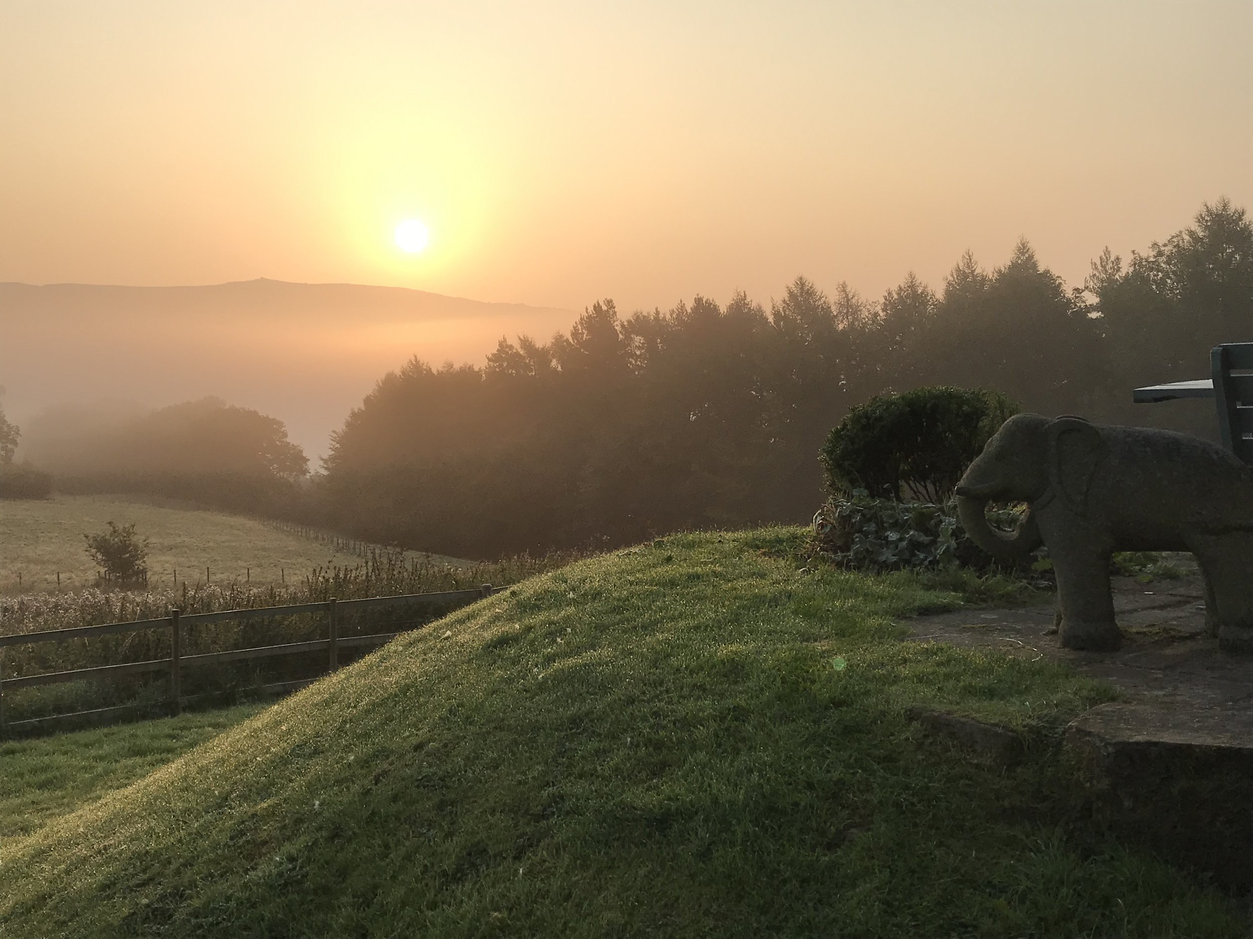 The Morning View from the Patio
