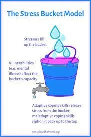 Is Your Stress Stopping You Succeed?