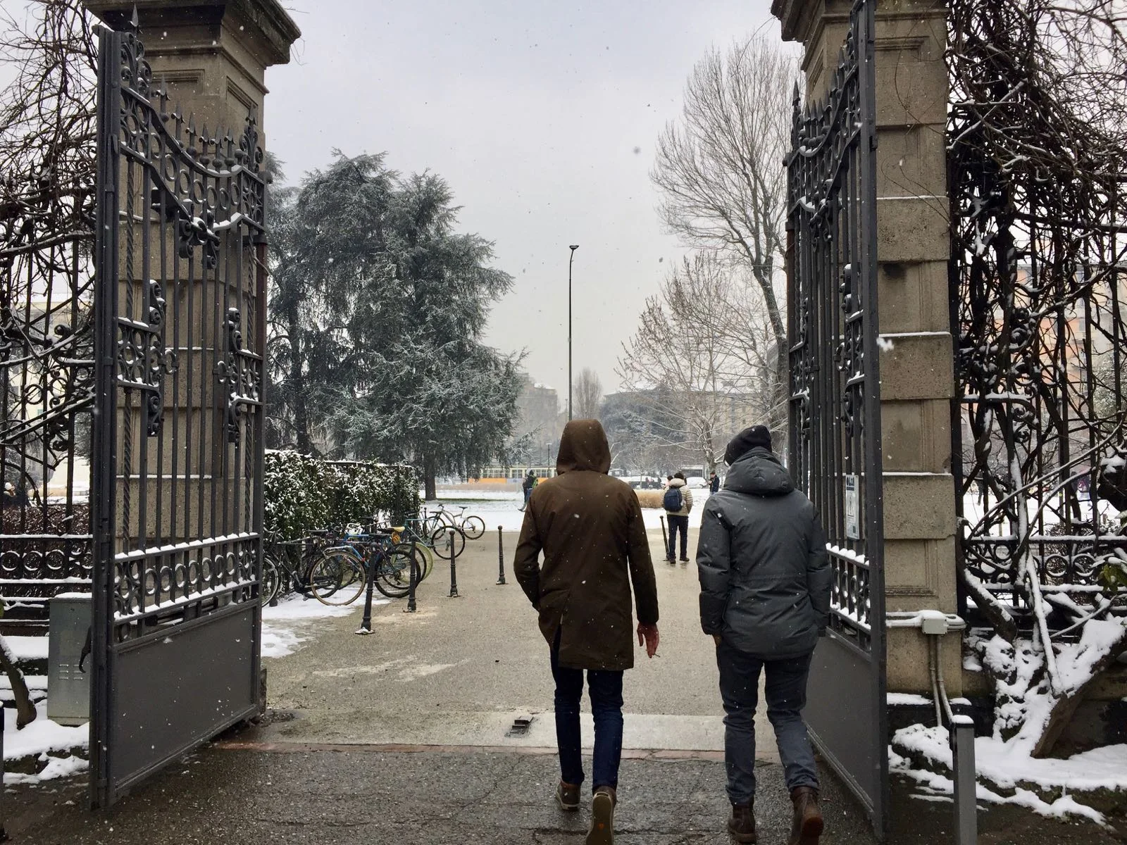 三月一号的雪