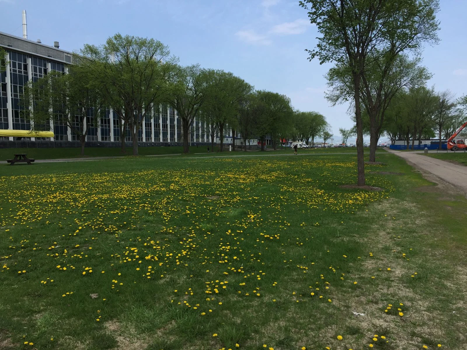 5月25号的校园