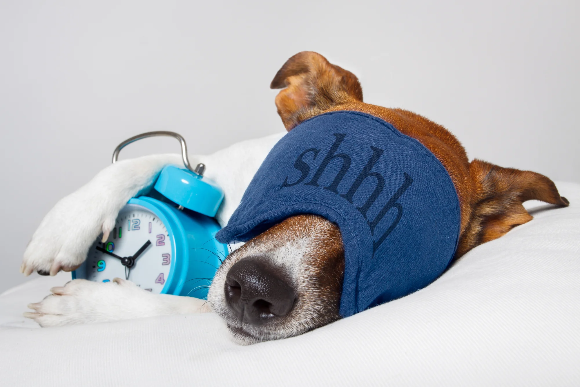 Study: Better Sleep = Healthier Eating