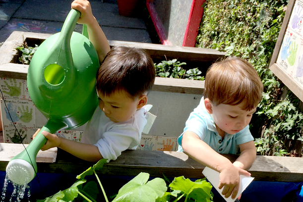 boys-garden2.png