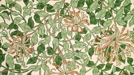 William Morris - Honeysuckle