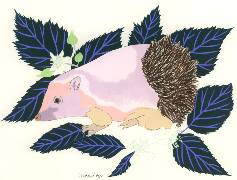 Hedgehog (for the one that fell down the drain and lost her spines; her name is Vera)