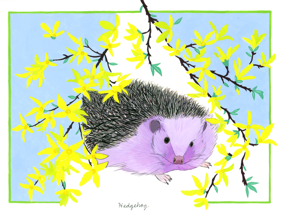   Hedgehog and Forsythia , 2014, gouache and ink on Arches paper, 6 x 8 in. 