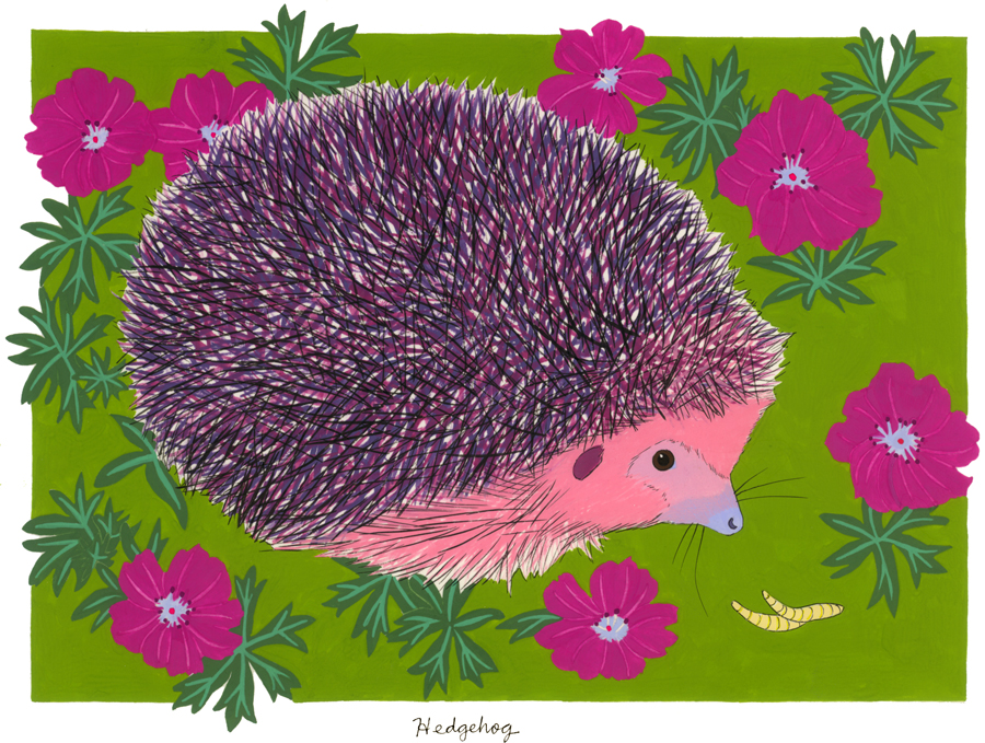 Hedgehog (for the rescue hedgehog named Edinburgh who ate too many mealworms)