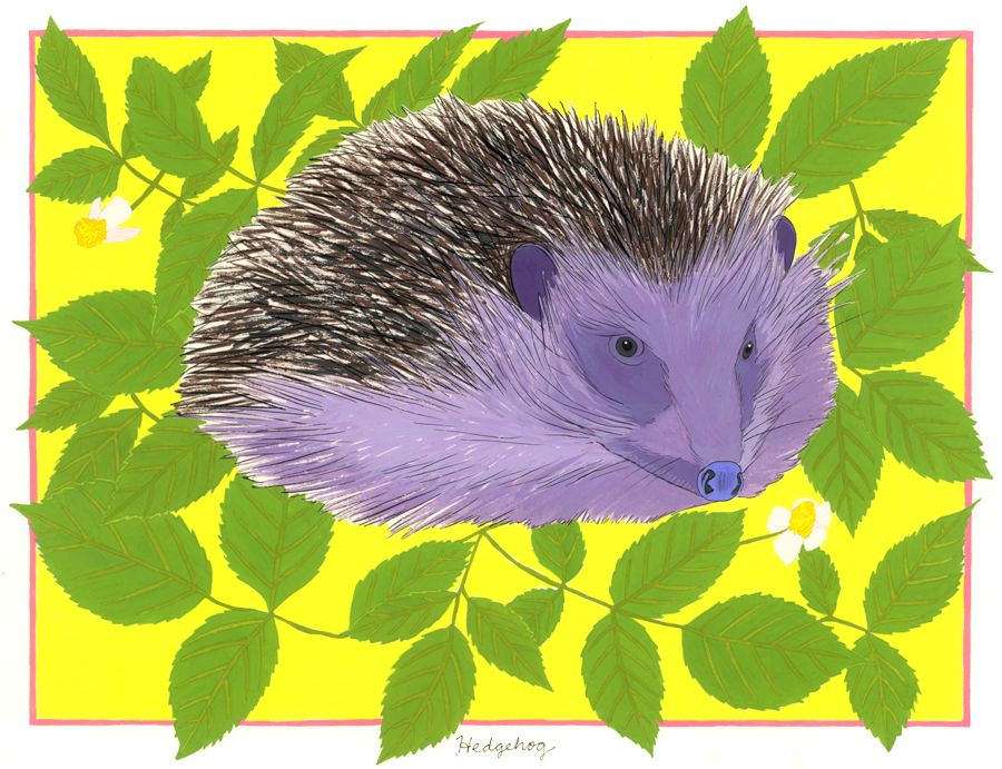 Hedgehog (for the one named Breeze who fell down a 4-ft. wall; she is recovering well)