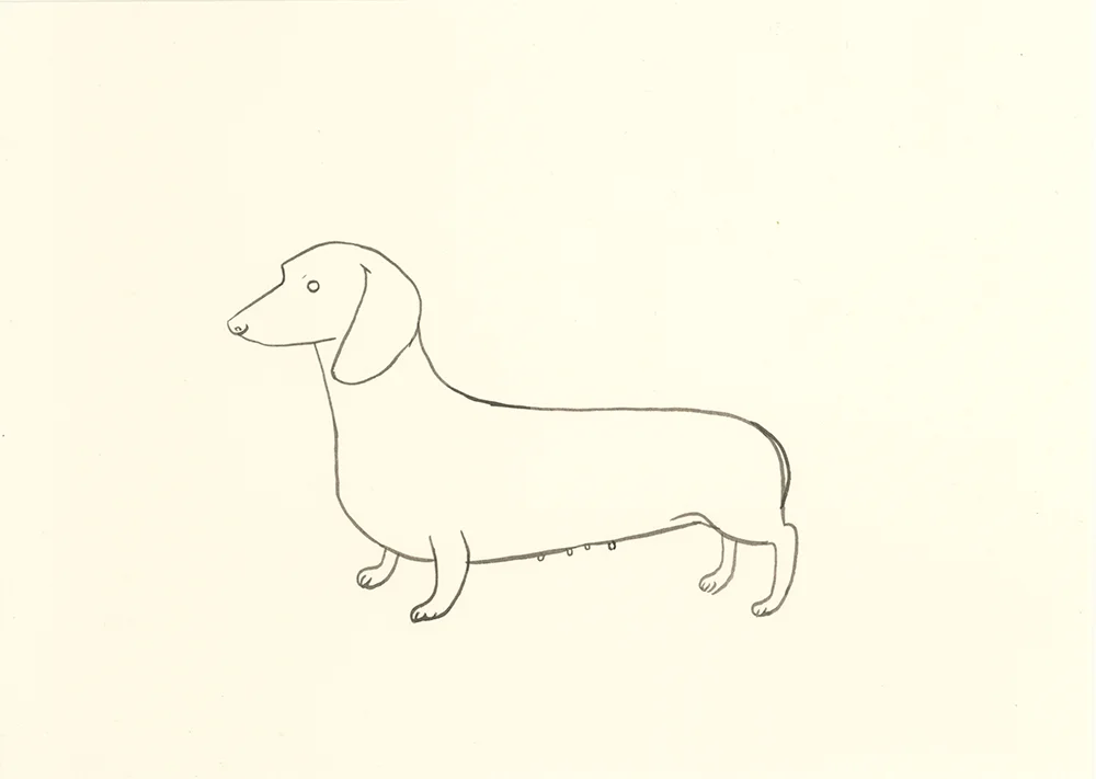 ajp_dachshund_x1000.jpg