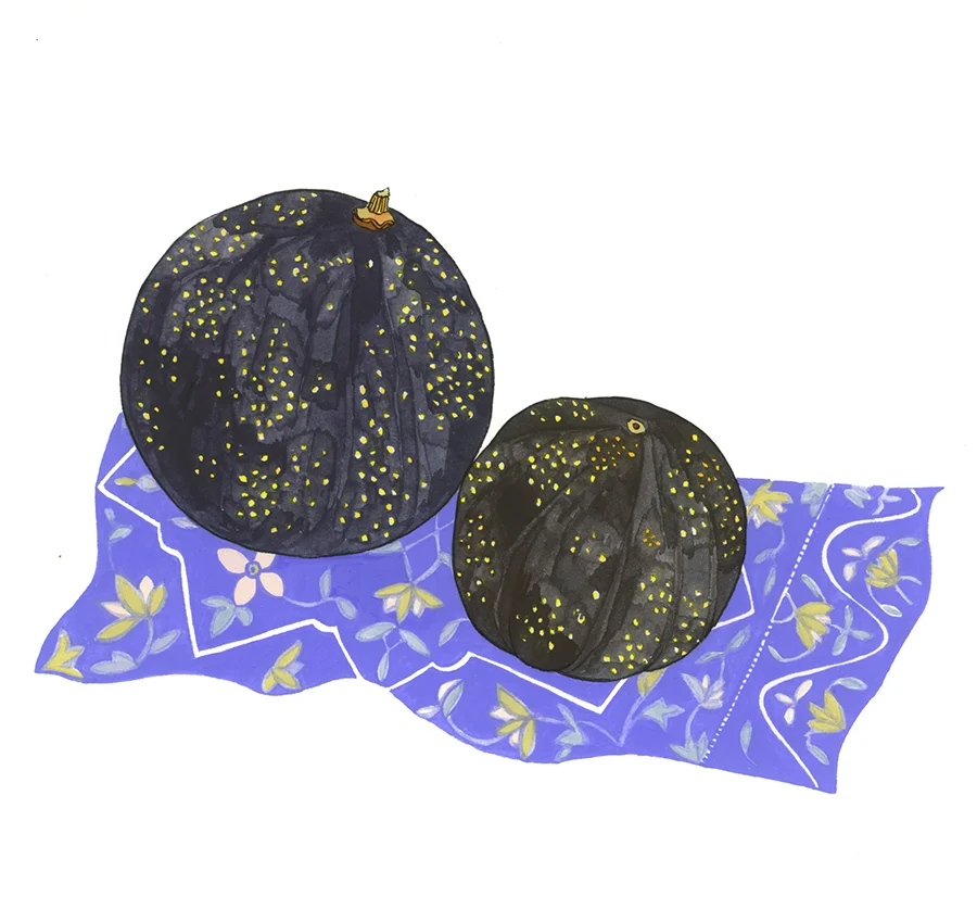 ajp_aram_limes_x900.jpg