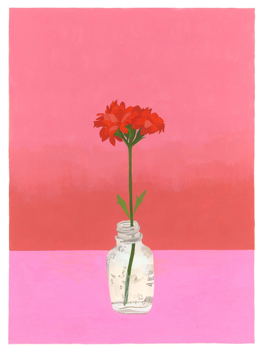 Bloom (Kalanchoe)