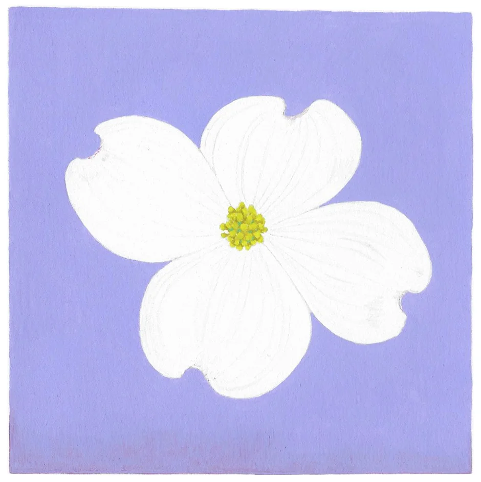 Dogwood