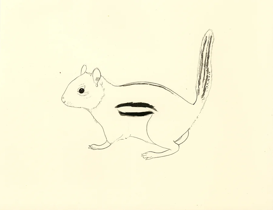 ajp_chippy_x900.jpg