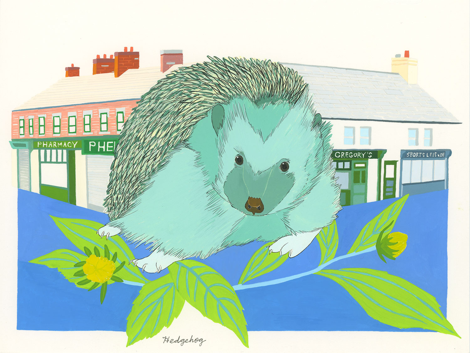 Hedgehog (for the one named Hoggy)