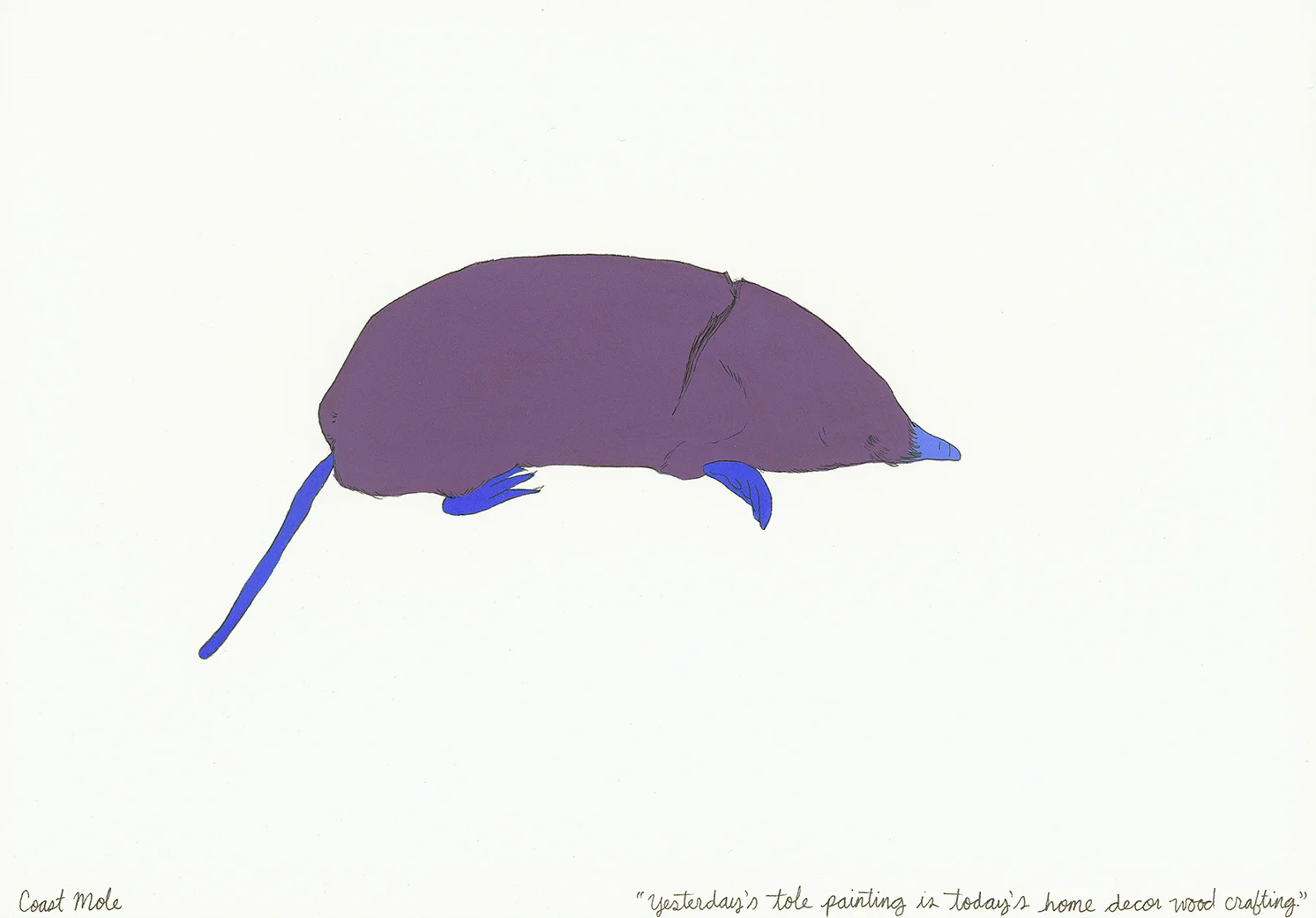 Coast Mole