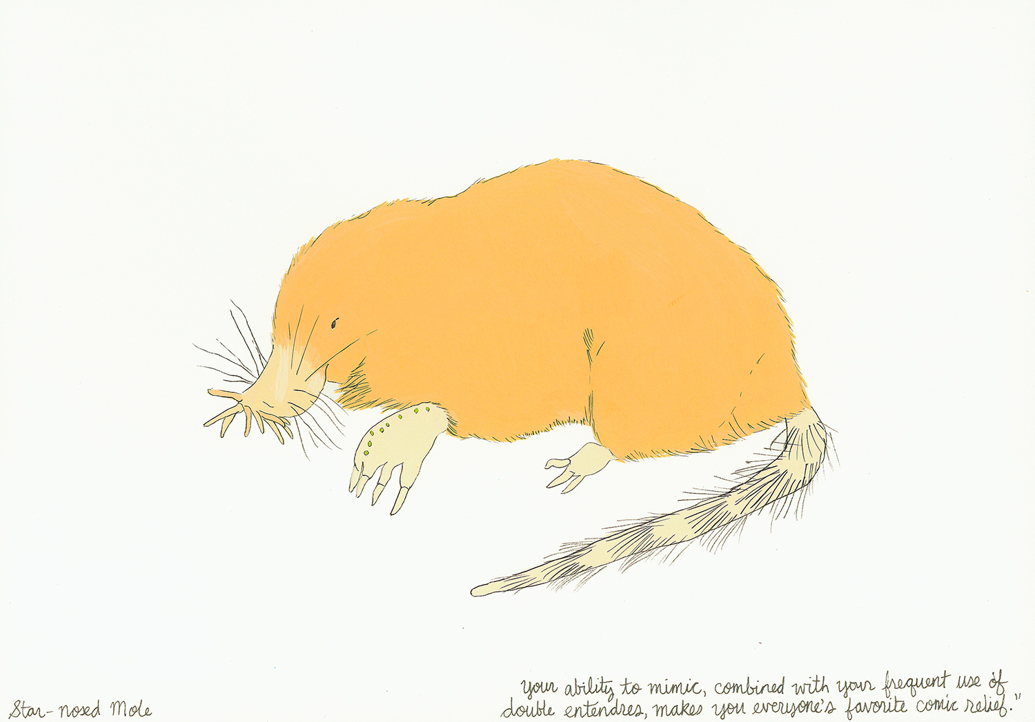 Star-nosed Mole