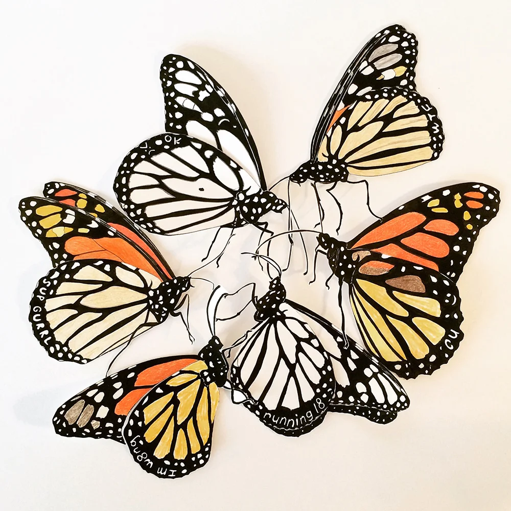 Social Butterflies