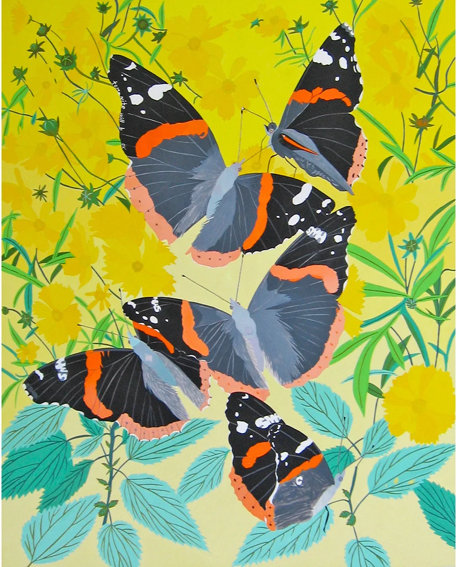 Red Admiral (smh)