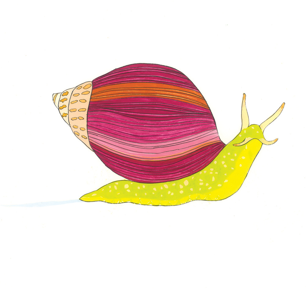 Snail