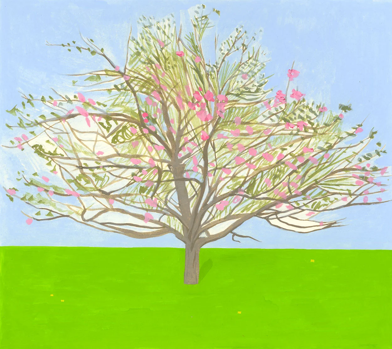 Spring