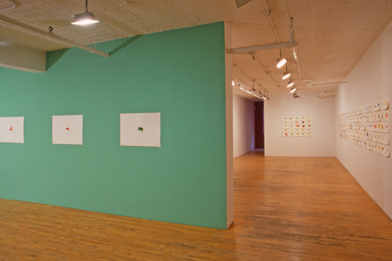 Installation, Debs and Co., New York