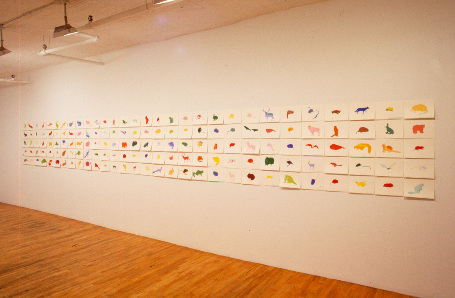 Installation, Debs and Co., New York
