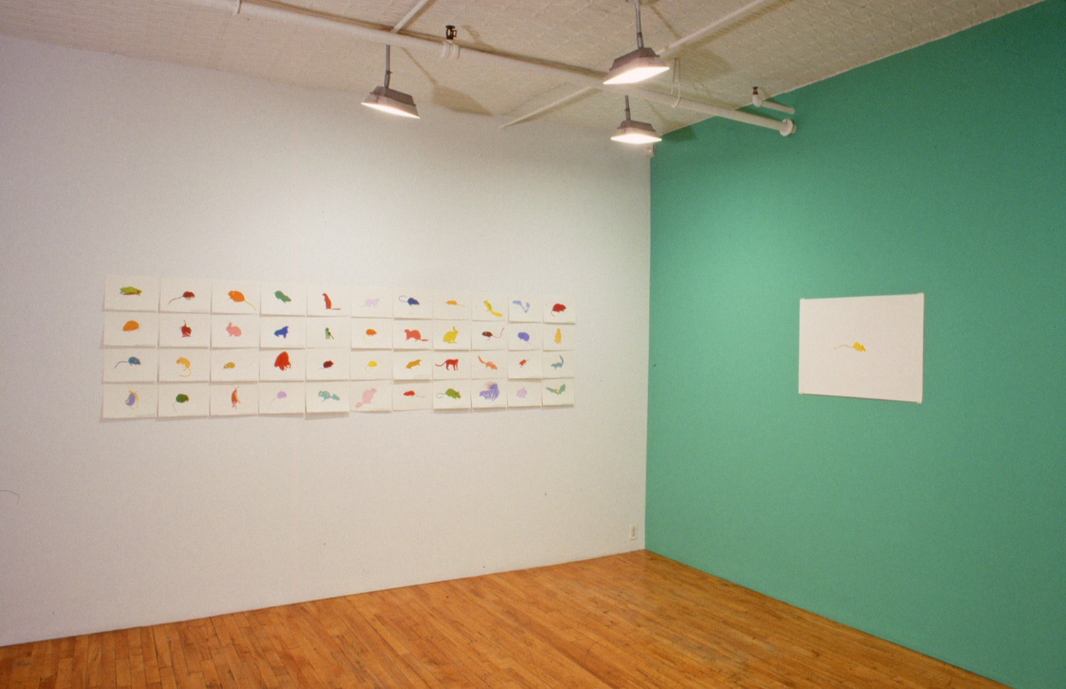 Installation, Debs and Co., New York