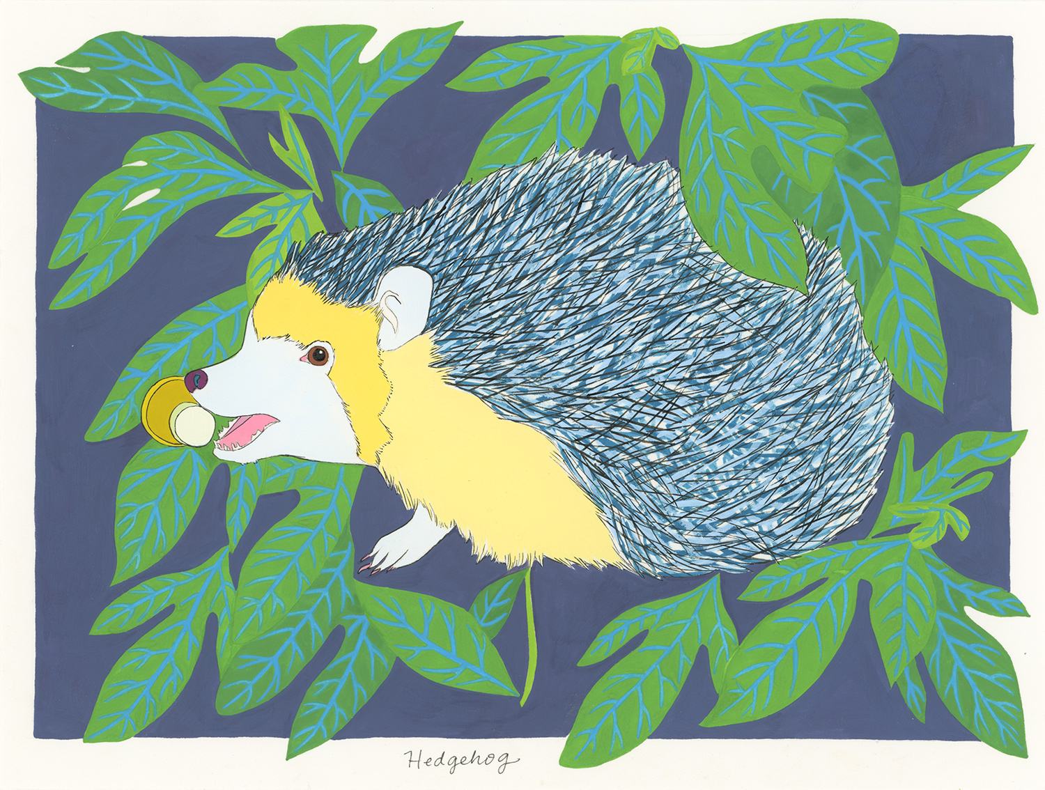 Hedgehog (for the one obsessed with a doorstop)