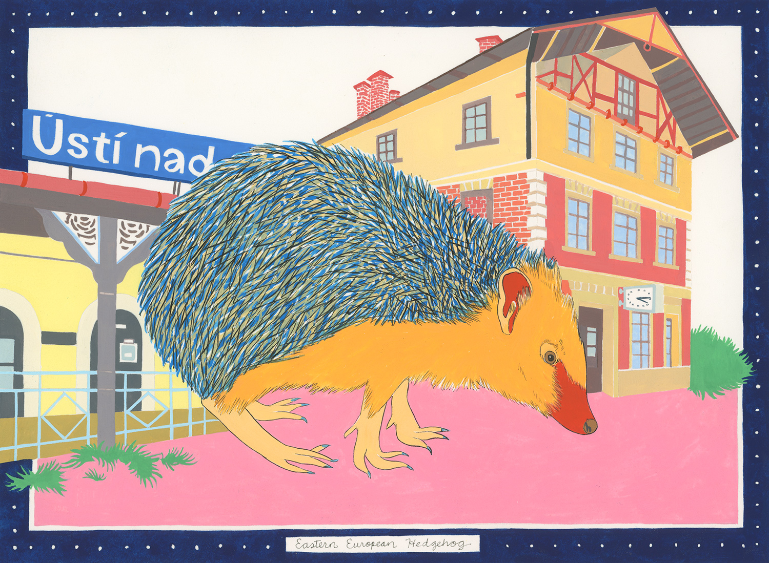 Eastern European Hedgehog