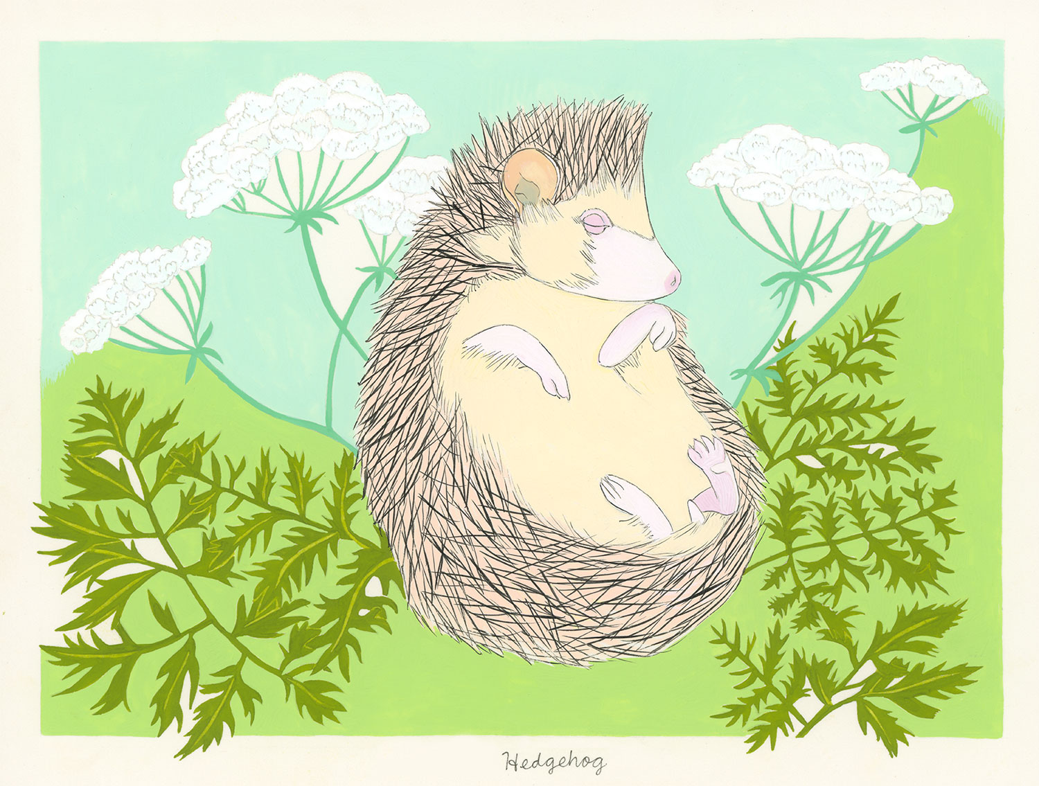 Hedgehog and Hemlock (for the one named Darcy)