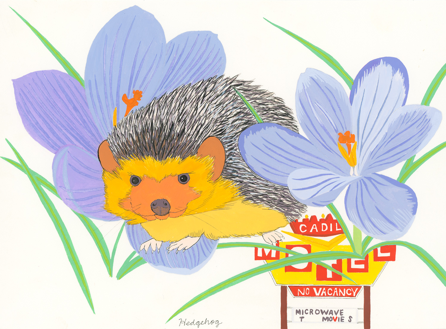 Hedgehog (for the one named Biddy)