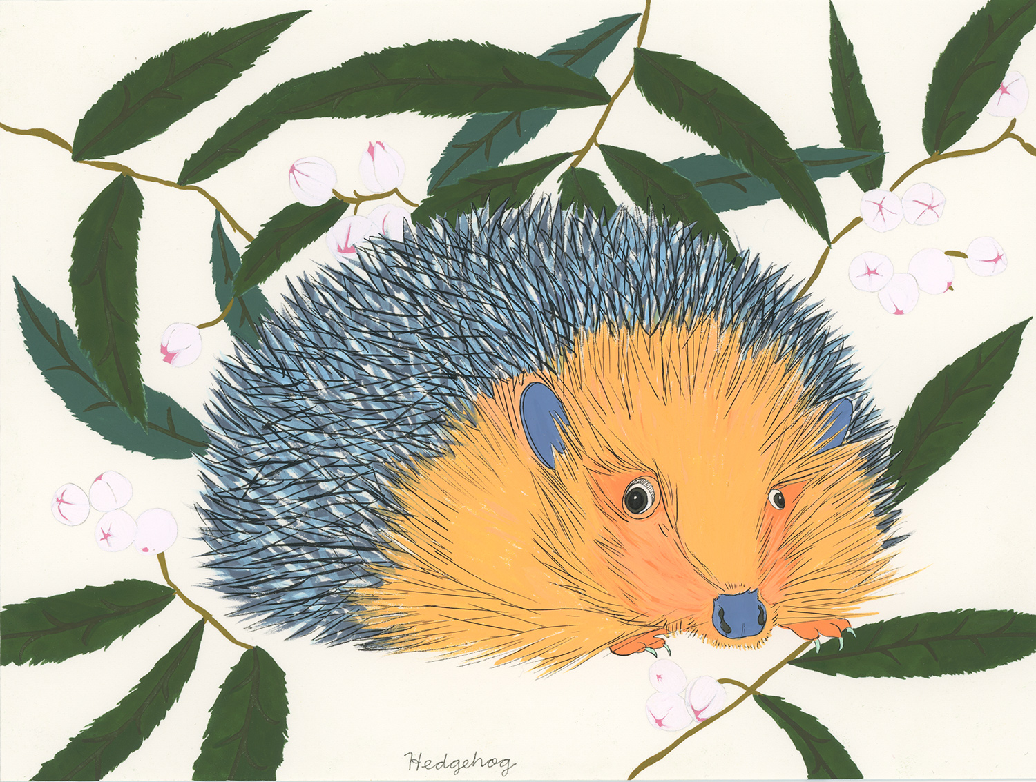 Hedgehog (for the one named Noah)