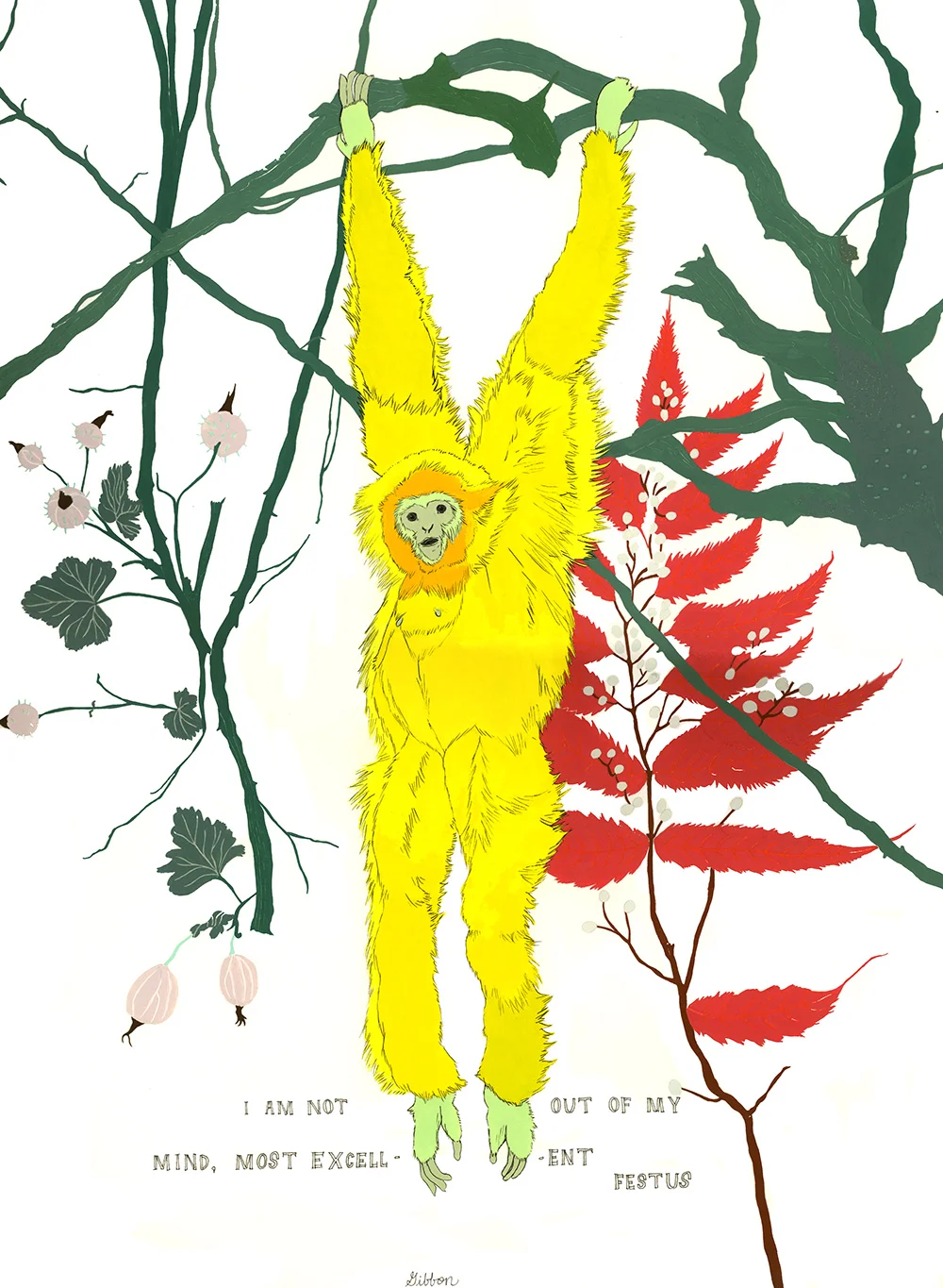 Gibbon